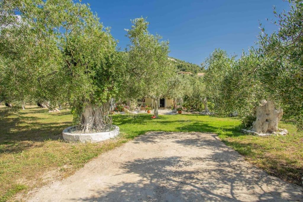 Anthia Private Studio A Breath Away From Beaches Agios Nikitas Exterior photo