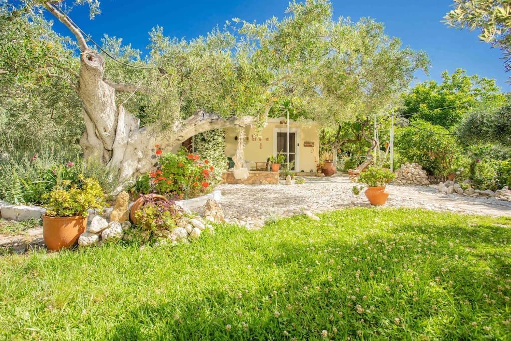 Anthia Private Studio A Breath Away From Beaches Agios Nikitas Exterior photo
